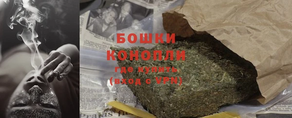 индика Сосновоборск