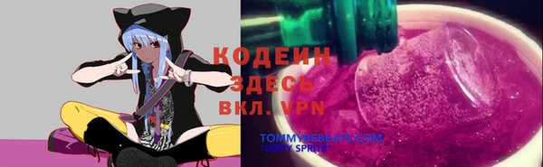 индика Сосновоборск
