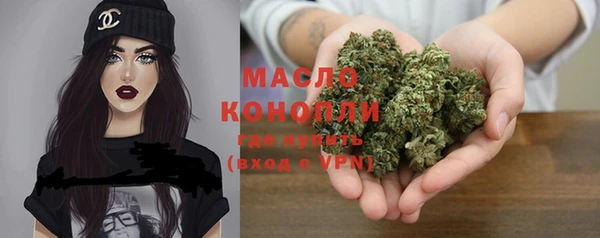 индика Сосновоборск