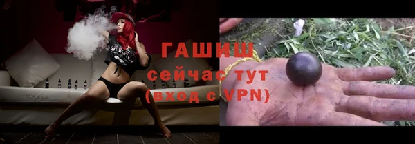 индика Сосновоборск