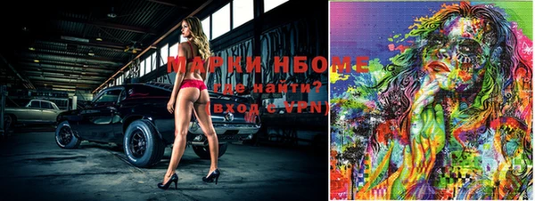 индика Сосновоборск
