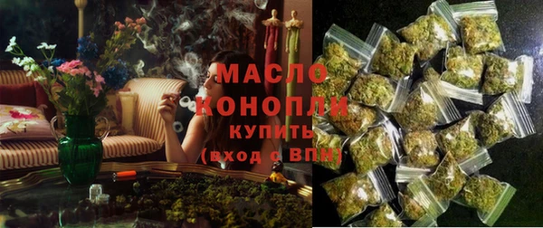 индика Сосновоборск