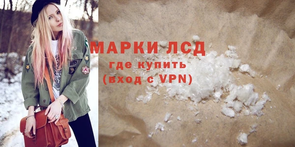 индика Сосновоборск