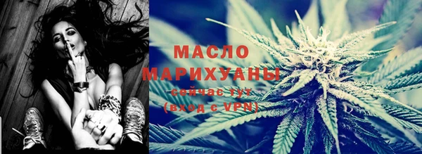 индика Сосновоборск
