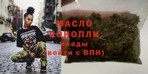 индика Сосновоборск