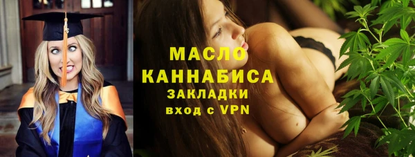 индика Сосновоборск