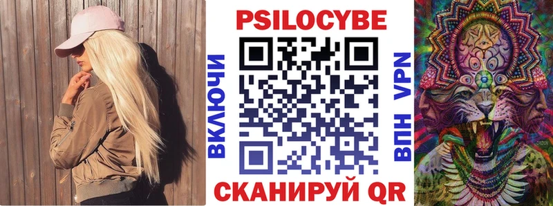 Псилоцибиновые грибы Psilocybine cubensis  Купить закладки  Ступино 