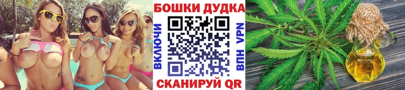 Конопля сатива Ступино
